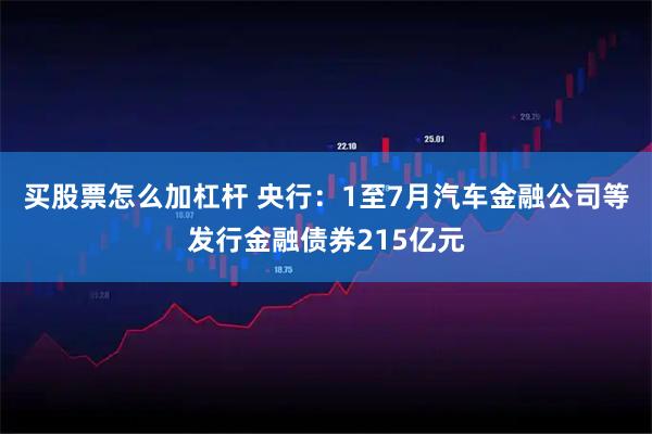 买股票怎么加杠杆 央行：1至7月汽车金融公司等发行金融债券215亿元