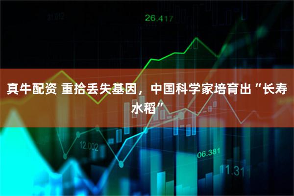 真牛配资 重拾丢失基因，中国科学家培育出“长寿水稻”