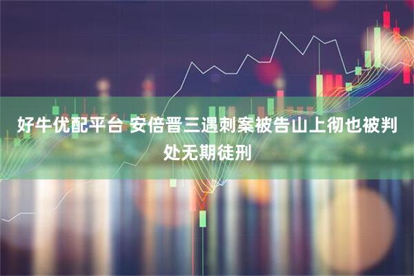 好牛优配平台 安倍晋三遇刺案被告山上彻也被判处无期徒刑